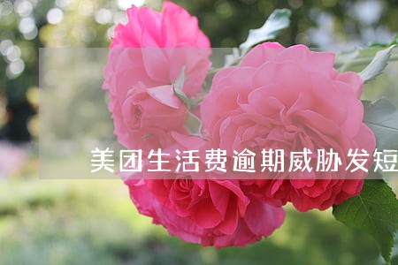美团生活费逾期威胁发短信