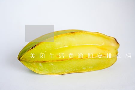 美团生活费逾期安排车辆准时出车 美团生活费逾期安排车辆准时出车