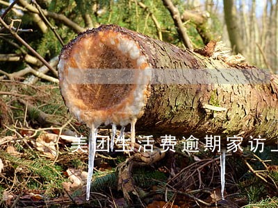 美团生活费逾期家访上门 美团生活费逾期家访上门