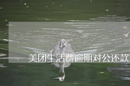美团生活费逾期对公还款靠谱吗