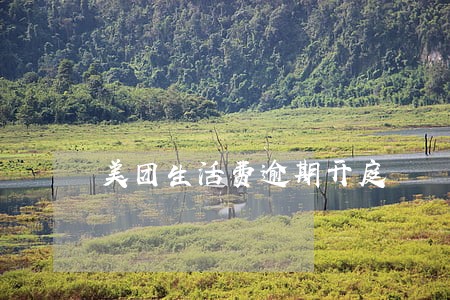 美团生活费逾期开庭 美团生活费逾期开庭