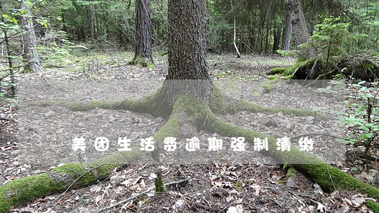 美团生活费逾期强制清缴