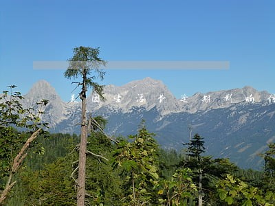 美团生活费逾期影响信用卡不 美团生活费逾期影响信用卡不