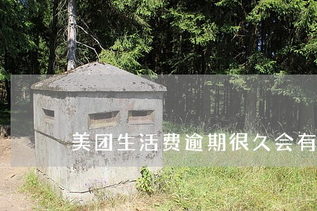 美团生活费逾期很久会有什么后果