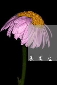 美团生活费逾期快一个星期了 美团生活费逾期快一个星期了
