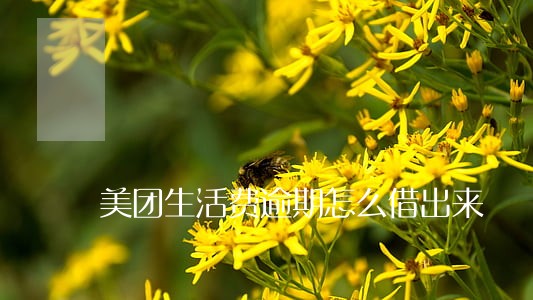 美团生活费逾期怎么借出来