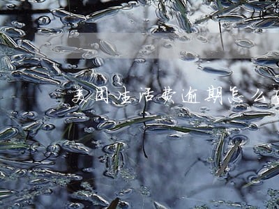 美团生活费逾期怎么查 美团生活费逾期怎么查