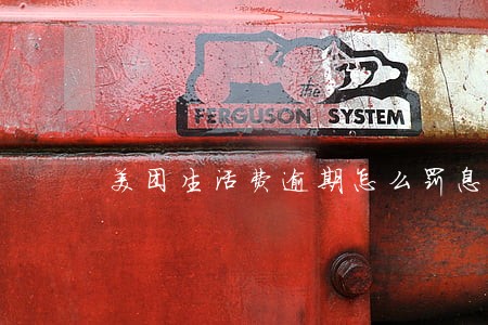 美团生活费逾期怎么罚息 美团生活费逾期怎么罚息