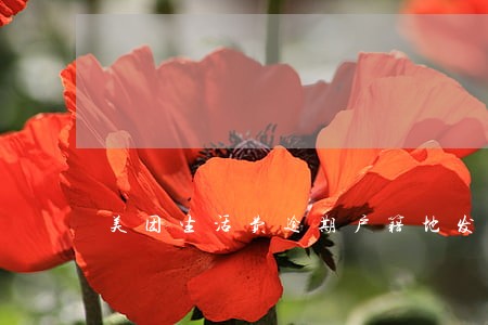 美团生活费逾期户籍地发来邮件