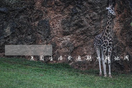 美团生活费逾期户籍地调查 美团生活费逾期户籍地调查