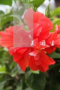 美团生活费逾期打什么电话协商
