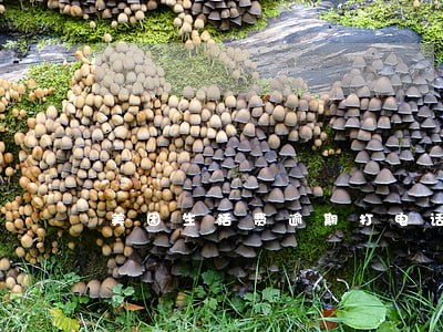 美团生活费逾期打电话到公司 美团生活费逾期打电话到公司