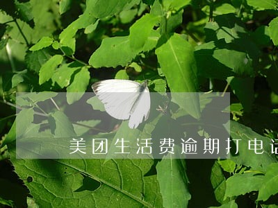 美团生活费逾期打电话说外访 美团生活费逾期打电话说外访
