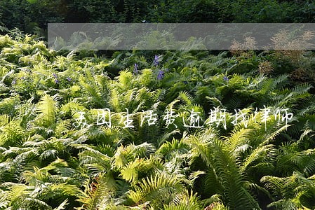 美团生活费逾期找律师 美团生活费逾期找律师