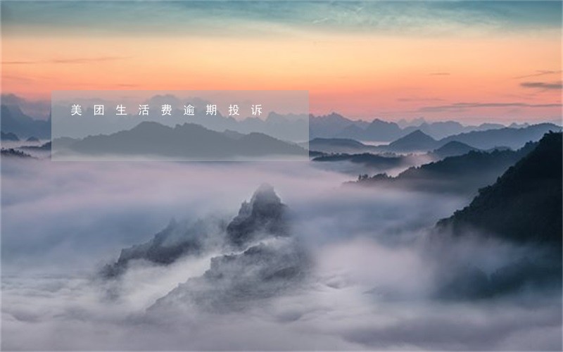 美团生活费逾期投诉 美团生活费逾期投诉
