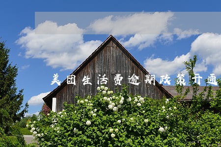 美团生活费逾期政策开通5千额度 美团生活费逾期政策开通5千额度
