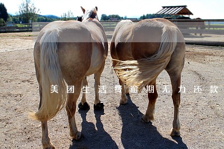 美团生活费逾期无力还款怎么办 美团生活费逾期无力还款怎么办