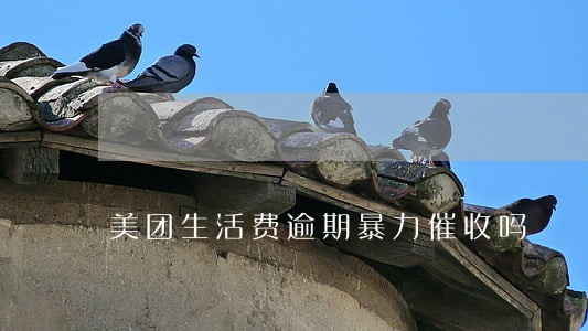 美团生活费逾期暴力催收吗 美团生活费逾期暴力催收吗