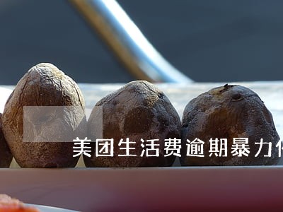美团生活费逾期暴力催收怎么办 美团生活费逾期暴力催收怎么办