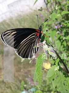 美团生活费逾期未还说要走访村委 美团生活费逾期未还说要走访村委
