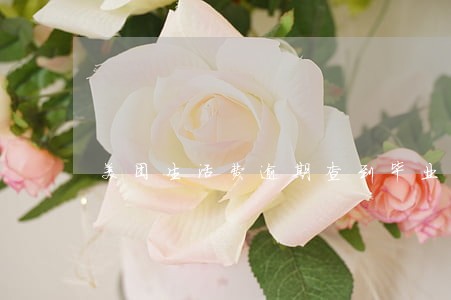 美团生活费逾期查到毕业的学校 美团生活费逾期查到毕业的学校