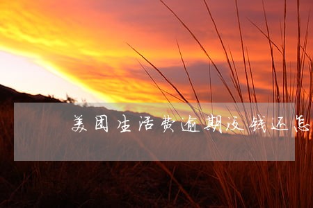 美团生活费逾期没钱还怎么办 美团生活费逾期没钱还怎么办