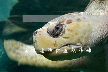美团生活费逾期涉嫌 美团生活费逾期涉嫌
