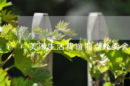 美团生活费逾期点外卖会被 美团生活费逾期点外卖会被