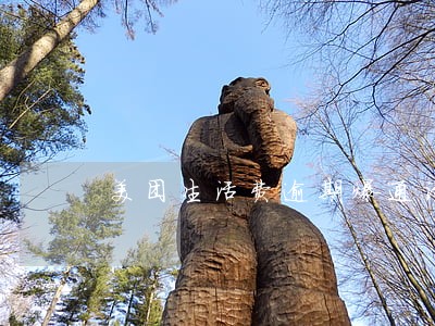 美团生活费逾期爆通话