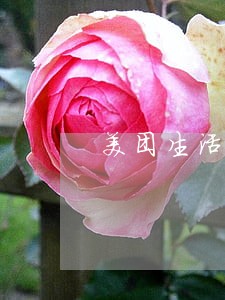 美团生活费逾期申请 美团生活费逾期申请