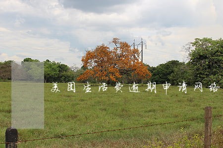 美团生活费逾期申请网络公开 美团生活费逾期申请网络公开