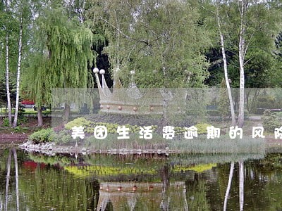 美团生活费逾期的风险评估 美团生活费逾期的风险评估