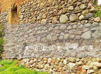 美团生活费逾期真假