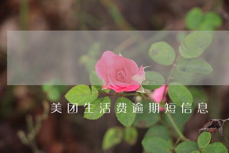 美团生活费逾期短信息 美团生活费逾期短信息