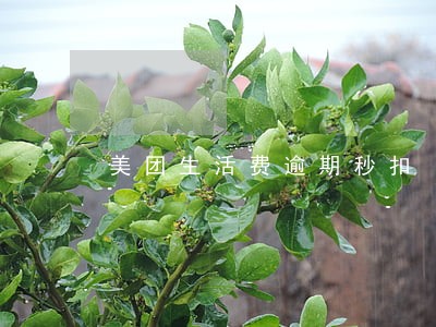 美团生活费逾期秒扣 美团生活费逾期秒扣