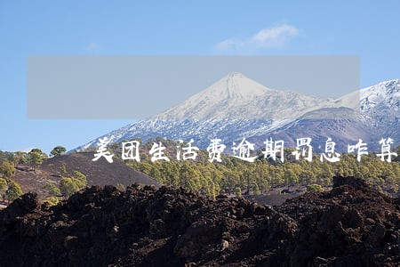 美团生活费逾期罚息咋算 美团生活费逾期罚息咋算