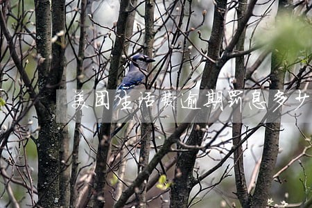 美团生活费逾期罚息多少钱 美团生活费逾期罚息多少钱