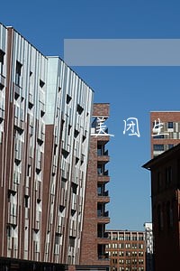 美团生活费逾期罚金怎么算 美团生活费逾期罚金怎么算
