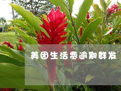 美团生活费逾期群发 美团生活费逾期群发