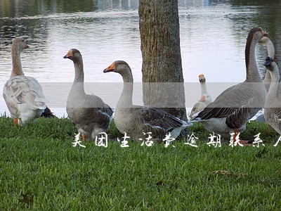 美团生活费逾期联系人 美团生活费逾期联系人