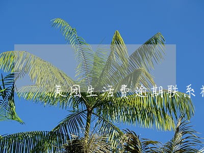 美团生活费逾期联系村委会 美团生活费逾期联系村委会