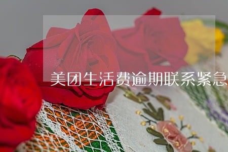 美团生活费逾期联系紧急联系人 美团生活费逾期联系紧急联系人