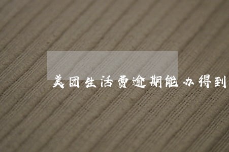 美团生活费逾期能办得到公务卡吗 美团生活费逾期能办得到公务卡吗