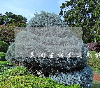 美团生活费逾期能扣零钱通 美团生活费逾期能扣零钱通