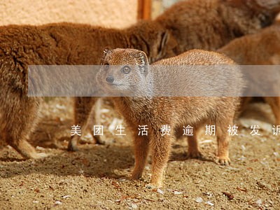 美团生活费逾期被发诉前通知书 美团生活费逾期被发诉前通知书