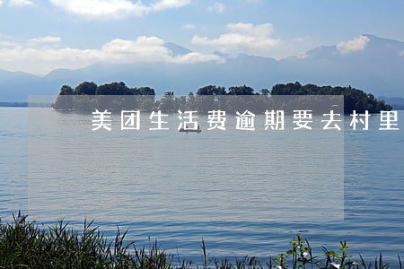 美团生活费逾期要去村里 美团生活费逾期要去村里