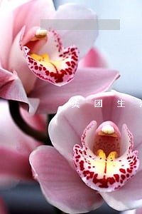 美团生活费逾期要家访 美团生活费逾期要家访