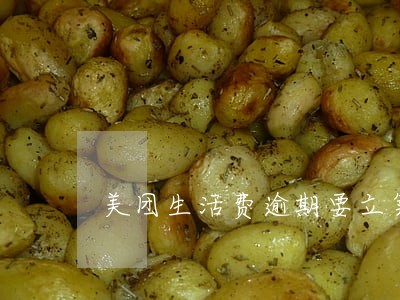 美团生活费逾期要立案审核 美团生活费逾期要立案审核