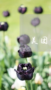 美团生活费逾期要网络公布 美团生活费逾期要网络公布