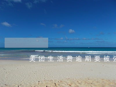 美团生活费逾期要被强制执行